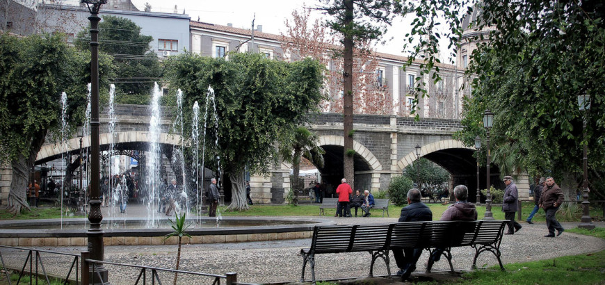 View of the garden