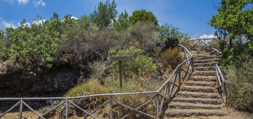 The path