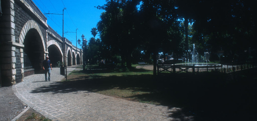 View of the garden