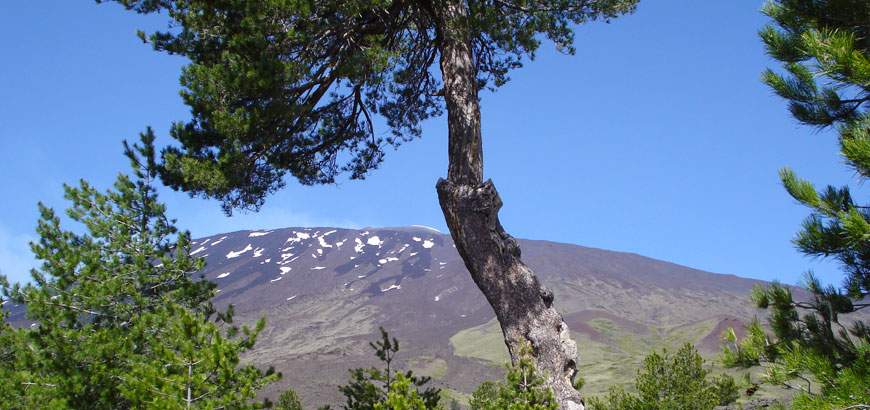 Rifugio Galvarina, Etna