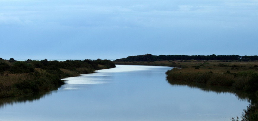 Oasi del Simeto