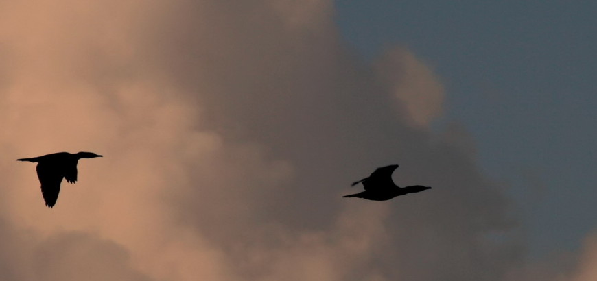 In volo sulla riserva