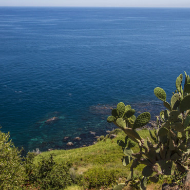 Acquegrandi