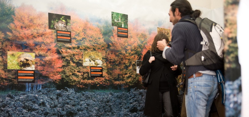 Etna Museum exhibition