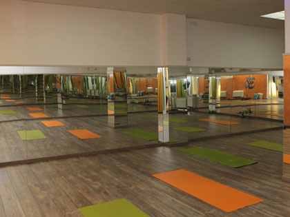 yoga_sunflow_01