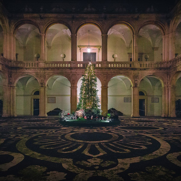 Albero e presepe al palazzo della Cultura