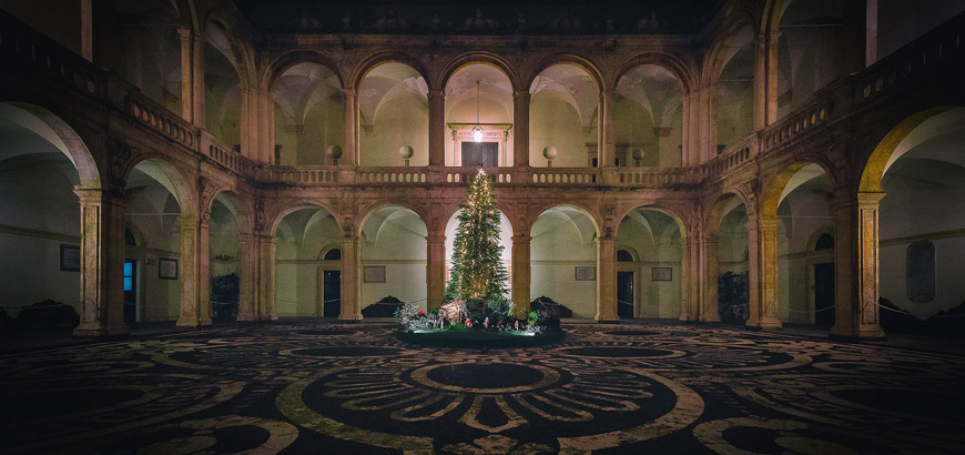 Albero e presepe al palazzo della Cultura