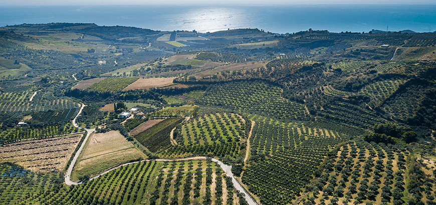 Azienda Bonolio di Sicilia