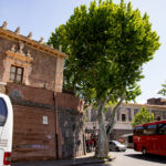 Arvulu Rossu first stage of Catania Rainbow