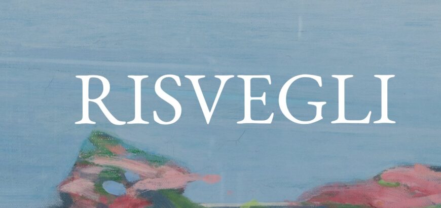 Collezione arte contemporanea della Fondazione Puglisi Cosentino.