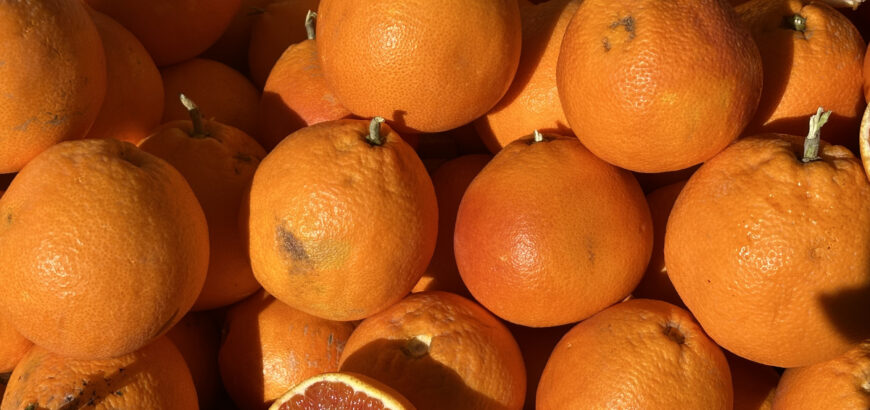 Mercati ortofrutticoli e vintage della città di catania